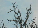 DSCN5871
