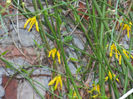 DSCN5878