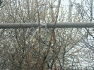 DSCN5958