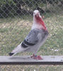 DSCF5435