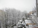 IMG_1471
