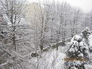 IMG_1480