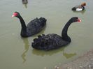 DSC01277