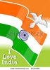 stock-vector-i-love-india-background-with-pigeon-81164506