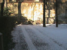 DSC00217