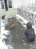 DSCN0979