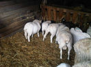 IMG00222-20130328-1711