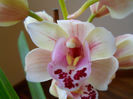 DSCN3581