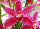 DSCN3605