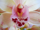 DSCN3607