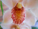 DSCN3608