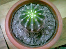 Picture 005
