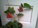 Picture 074