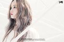 lee hi12