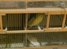 DSCN0286