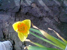 Fotogr.0445