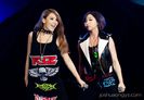 cl a minzy