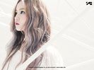gallery_leehi_rose_mv_03