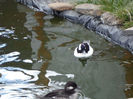 SAM_0403