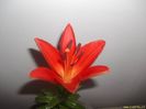 dscf0728_a