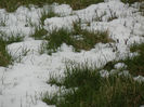 Spring is coming (2013, March 29)