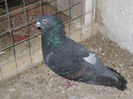 img0020qxt