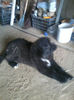 Photo0617