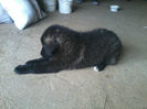 Photo0619