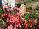 Copy of DSC00025