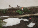 DSCN7606_3077