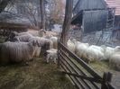 FĂ©nykĂ©p0683[1]
