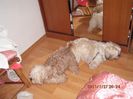 IMG_0705