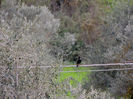 DSCN2829