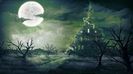 tenebra91 (26)