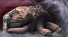 tenebra91 (29)