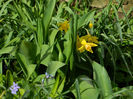 DSCN6337