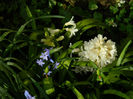 DSCN6338