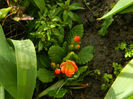 DSCN6341