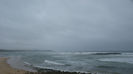 DSC09799