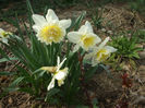 DSCF0209