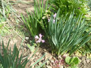 DSCF0212