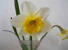 DSCN3655