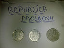 Picture 051