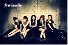 20110302_swincle_1