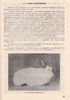 p141 085