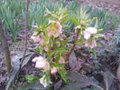 2013-03-18 17.18.33
