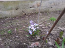 2013-04-03 16.37.14