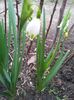 2013-04-03 16.42.20