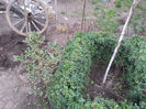 2013-04-03 16.42.58