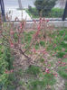 2013-04-03 17.02.58
